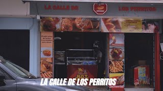 Semana del perro caliente en "La calle de los perritos"(Promociones y más)