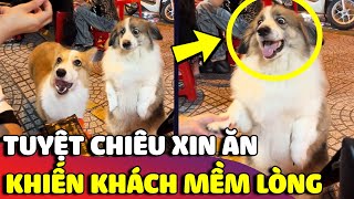 Bất lực trước 2 nhân viên dùng chiêu 'THAO TÚNG TÂM LÝ' để xin ăn của khách 😅 | Gâu Đần