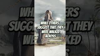 Easter Island Mysteries Unveiled: Secrets of the Enigmatic Statues! 🗿🏝️#easterisland #moaistatues