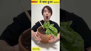 कुछ गजब का life Hacks l aditi l #shorts #shortvideo #viral #trending#fact #hindi #ytshorts #yt