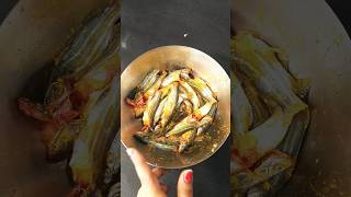 Catfish Fry/ Tengra Fish Fry टेंगरा फिश फ्राई / କଣ୍ଟିଆ ମାଛ ଭଜା / #shorts #viral #fishfry