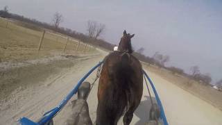 Harness Racing 3-1-19 Training JS