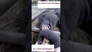 Ultima seară de vacanţă, întâia dimineaţă de şcoală #shorts