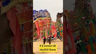 Rajasthan camel ride #bagad #minivlog #car #gogaji #gorakhnath #gogamedi #god #bhakti #camel #vlog