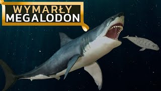 MEGALODON - rekin gigant, mioceński postrach oceanów!