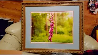 THE FIRST EBAY ITEM - FRAME & FOXGLOVES