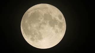 Super Blue Moon Super Zoom Exploration with Nikon P1000 August 30, 2023 10pm