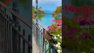 Best of Switzerland 🇨🇭 #shortvideo #travel #swissnature #swisstourism #swisstravels #shorts