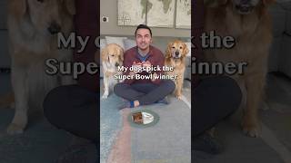 Dogs pick Super Bowl winner