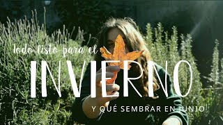 ¡Todo listo para el INVIERNO! | PIMENTÓN + MULCH + ABONO a todas mis macetas | Qué SEMBRAR en JUNIO