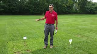 2018 NTEP Tall Fescue Test - Rutgers 2020 Virtual Turfgrass Research Field Day