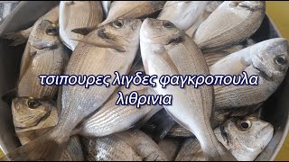 παραγαδι τσιπουρες λιγδες