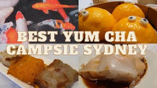 Searching for the BEST YUM CHA in Sydney 2022 | Campsie Carlingford Rhodes | The Sydney Experience