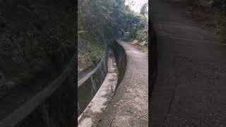 HK Hike 1 of 3, Tse Lo Lan Shan Path to Tai Tam Reservoir, Hong Kong #Shorts