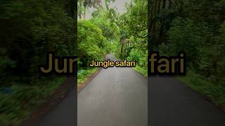 Jungle safari #goa #travel