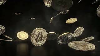 The Bitcoins Logo intro