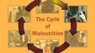 The cycle of malnutrition