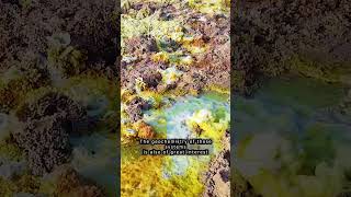 Insane ALIEN landscape of Dallol (#Shorts #Ethiopia #Africa)