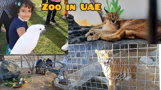 Umm al quwain Zoo/ Wildlife Park Zoo/ Zoo in UAE/ Hidden Zoo in Umm al quwain..