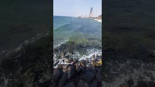 #red_sea #water #sea #shoetsvideo #shortsvideo #shortsyoutube #shorts