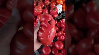 Romanian tomato organic 🍅 #short #viralvideo #viral