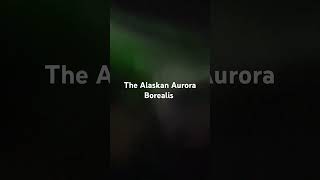 The Alaskan Aurora Borealis #alaska #aurora