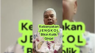 KEBANYAKAN JENGKOL BIKIN KOLIK GINJAL