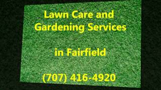 Lawn Care in Fairfield, California (707) 416-4920/ CALL US!