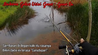 Casting Gabus di Sungai Rawa Kalimantan • [Sambaran Gabus Disini Bikin Susah Tidur]