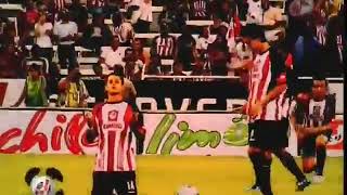 El Color del Chivas vs Santos 2010