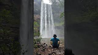 Amazonas'rainforest. Monte Alegre-Pará. Brasil