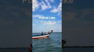 Pulicat Lake :Boat Ride