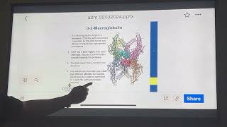 Alpha 2 Macrogobulin talk