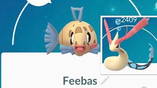 Glitch/Bug When Evolving Buddy -  Feebas To Milotic In Pokemon Go