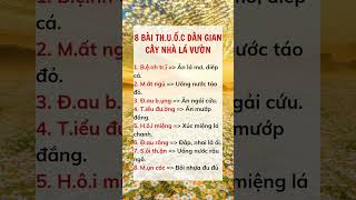 8 bài thuốc dân gian cây nhà lá vườn #suckhoe #doisong #baihoccuocsong #reels