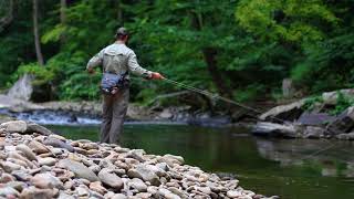 Get ACTIVE in the Park: Fly Fishing at New River Gorge