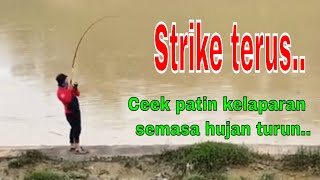 Memancing ikan patin di sungai langat semasa hujan..sangat berbaloi..ikan kelaparan.. (part-3)