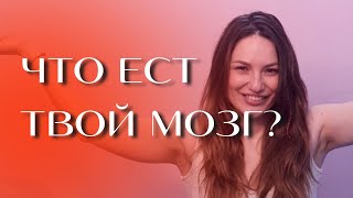 чем вы кормите свой мозг?