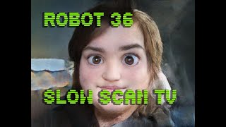 0100 Toonify SSTV Robot36