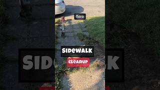 Toro Stick Edger Sidewalk Cleanup #shorts