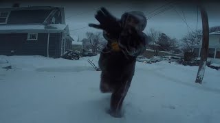 Time Lapse Blizzard Juno 2015