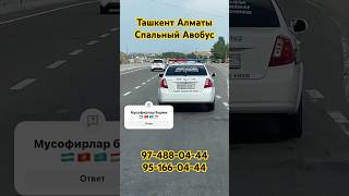 ТАШКЕНТ АЛМАТЫ СПАЛЬНЫЙ Автобус #ташкент #automobile #almaty #rek #алматы #топ #news #тикток #рек