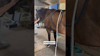 COLICKY HORSE? THIS CAN HELP! #horsecare #colicrelief #pemf