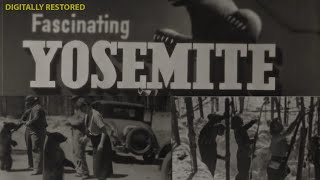 1940s Yosemite National Park Tourism Video | Historic USA Footage