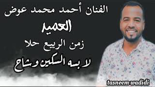 احمد محمد عوض زمن الربيع حلا