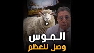 Abderrahim bouaida - عبد الرحيم بوعيدة  l 🚨شكون كيستفد من دعم الحوالا❗️🐏 السكين وصل للعظم 😡