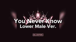 BLACKPINK - You Never Know (Lower Male Version)