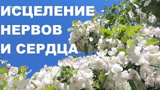 ПУСТЬ НЕБО ВСЕГДА БУДЕТ ЧИСТЫМ А ПЕНИЕ ПТИЦ ИСЦЕЛИТ НАШИ ЭМОЦИИ И ДУШУ-ПТИЦАМ ЭТО ПОДВЛАСТНО!