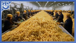 How Millions Of Tons Of French Fries Are Made From Harvesting Delicious Potatoes