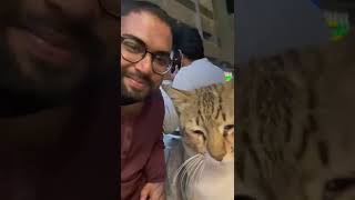 Meet my Friend #cat #catlover #catvideos #catsoftiktok #catsofinstagram #pets #petlover #pet #tiktok